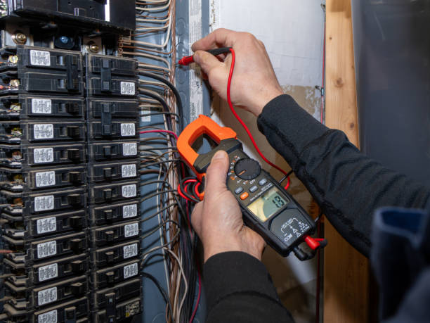 Best Electric Panel Repair  in USA